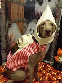 Maddie D Hal 2013.jpg